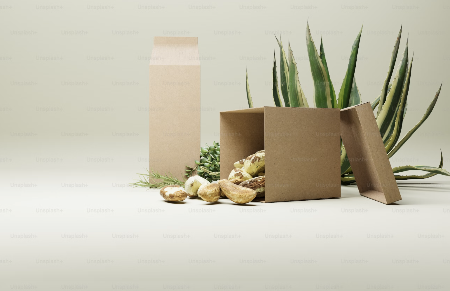 Sustainable packaging materials including compostable, reusable, and recyclable options.